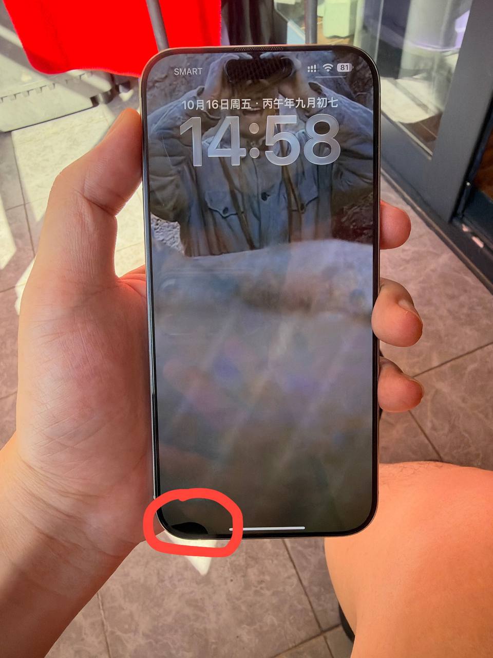 出16pormax 国行白色 256gb 电…-manila58.com