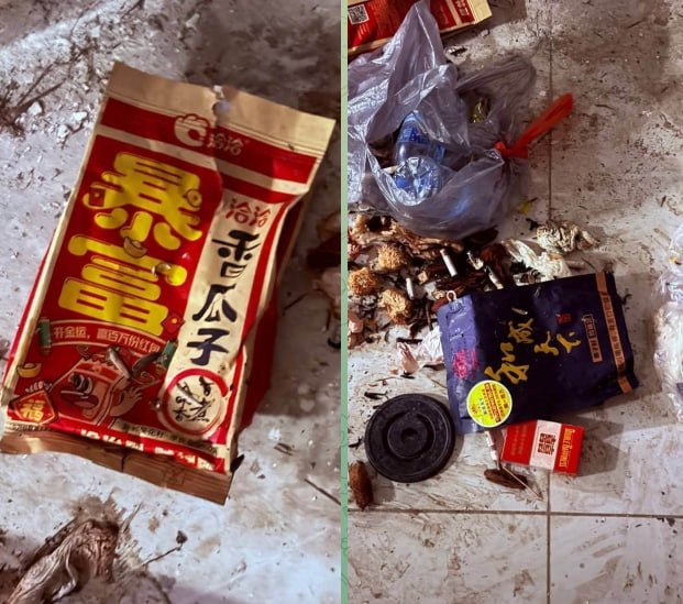 金边一住宅区疑遭居民怀疑存在网络诈骗活动，夜间异常情况引发安-manila58.com