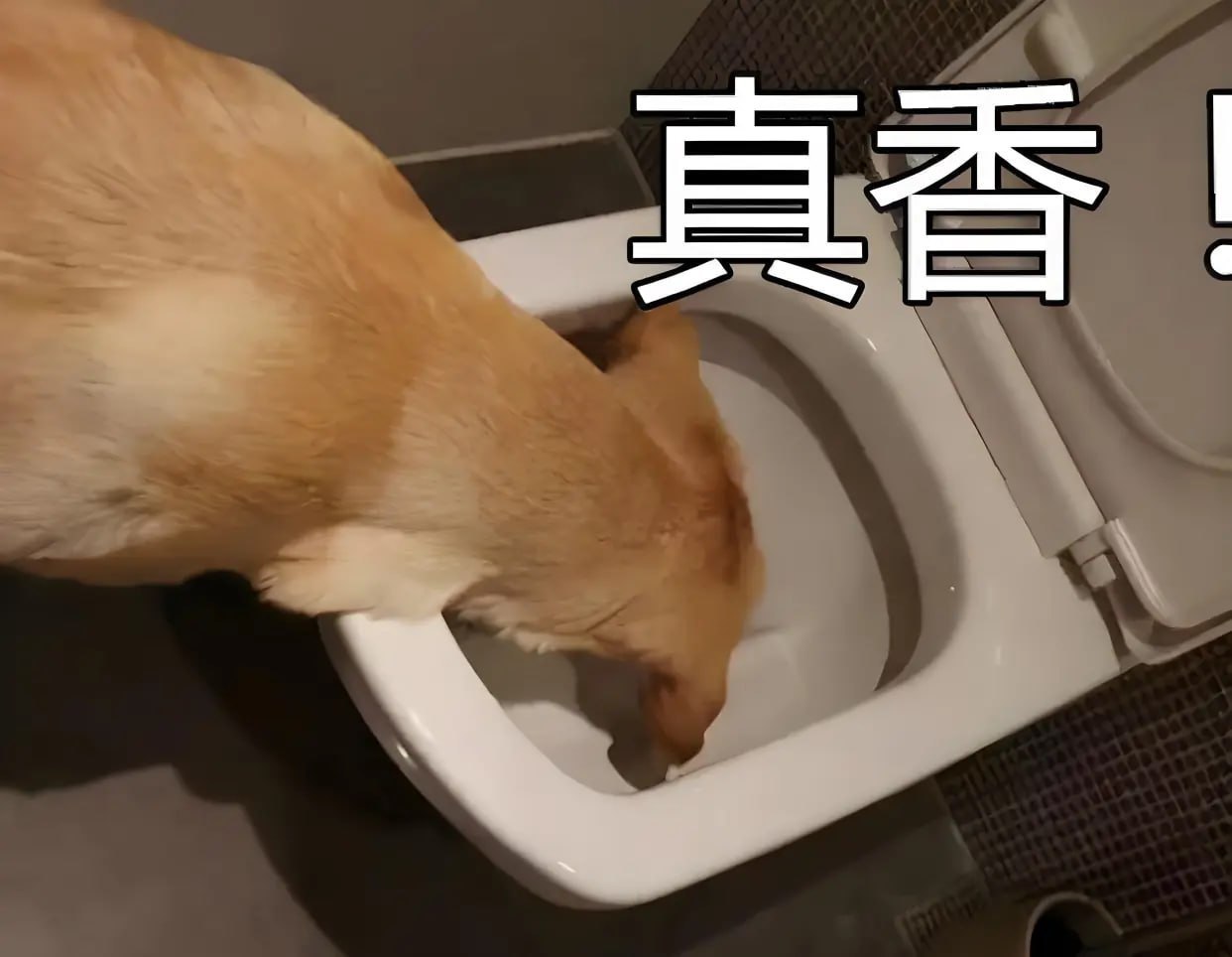 #开云 #管理无能 #招聘部现状-manila58.com