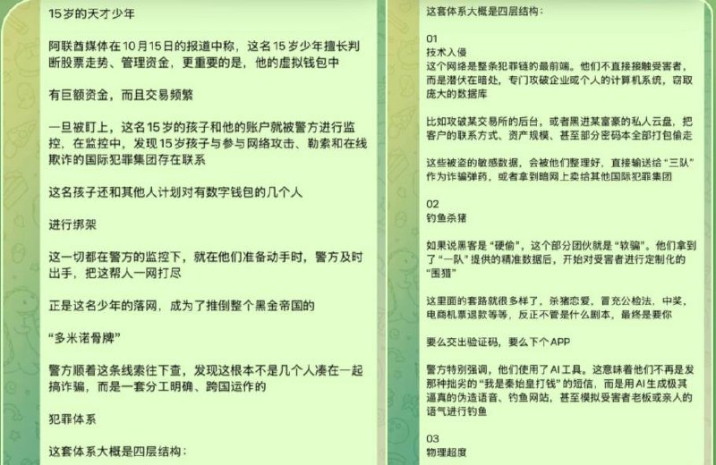 15岁“天才少年”，牵出88亿迪拉姆惊天大案！沙迦警方端掉4-manila58.com