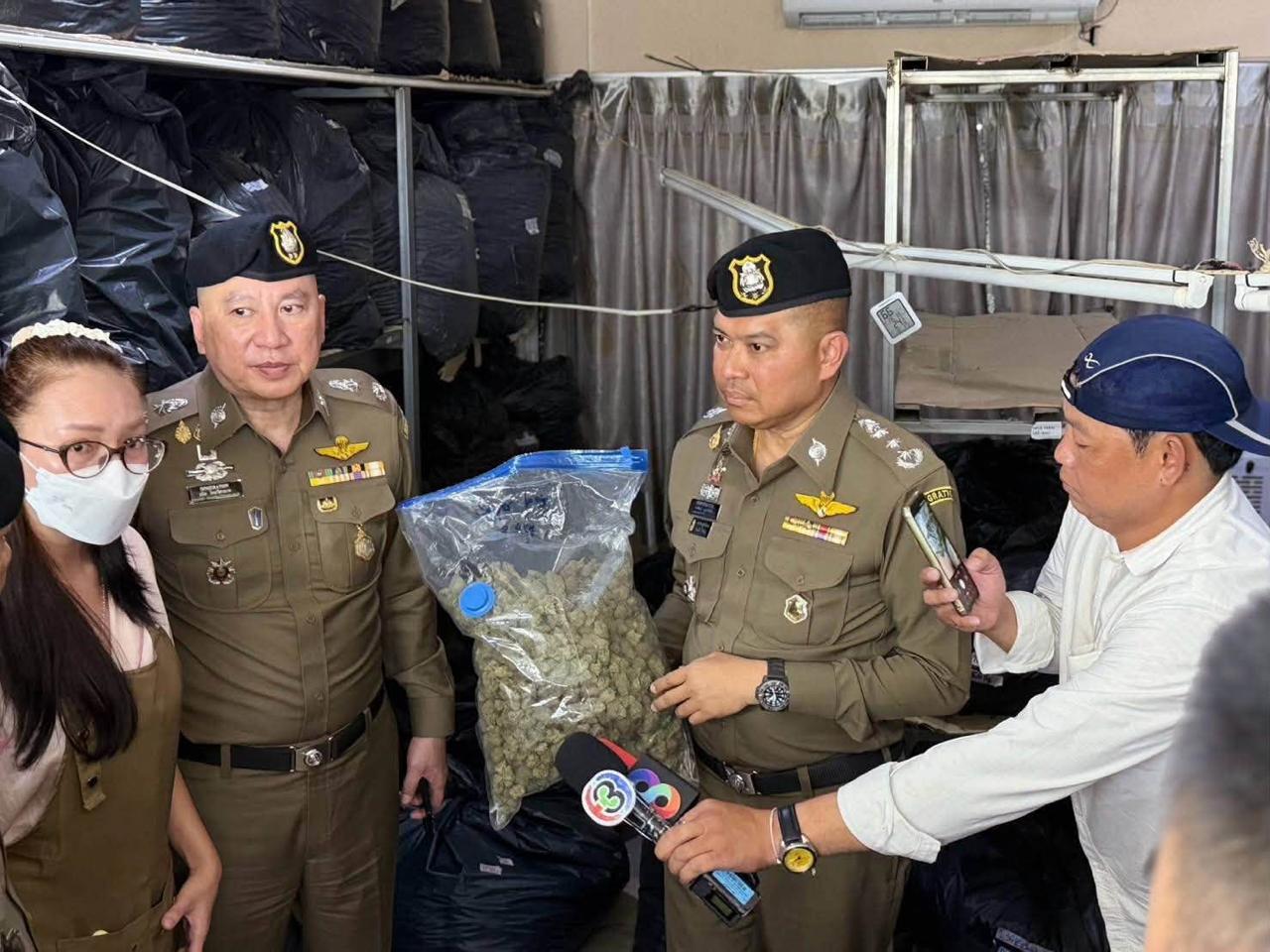 泰国移民局查获5吨大麻花 抓获5名外籍嫌犯-manila58.com