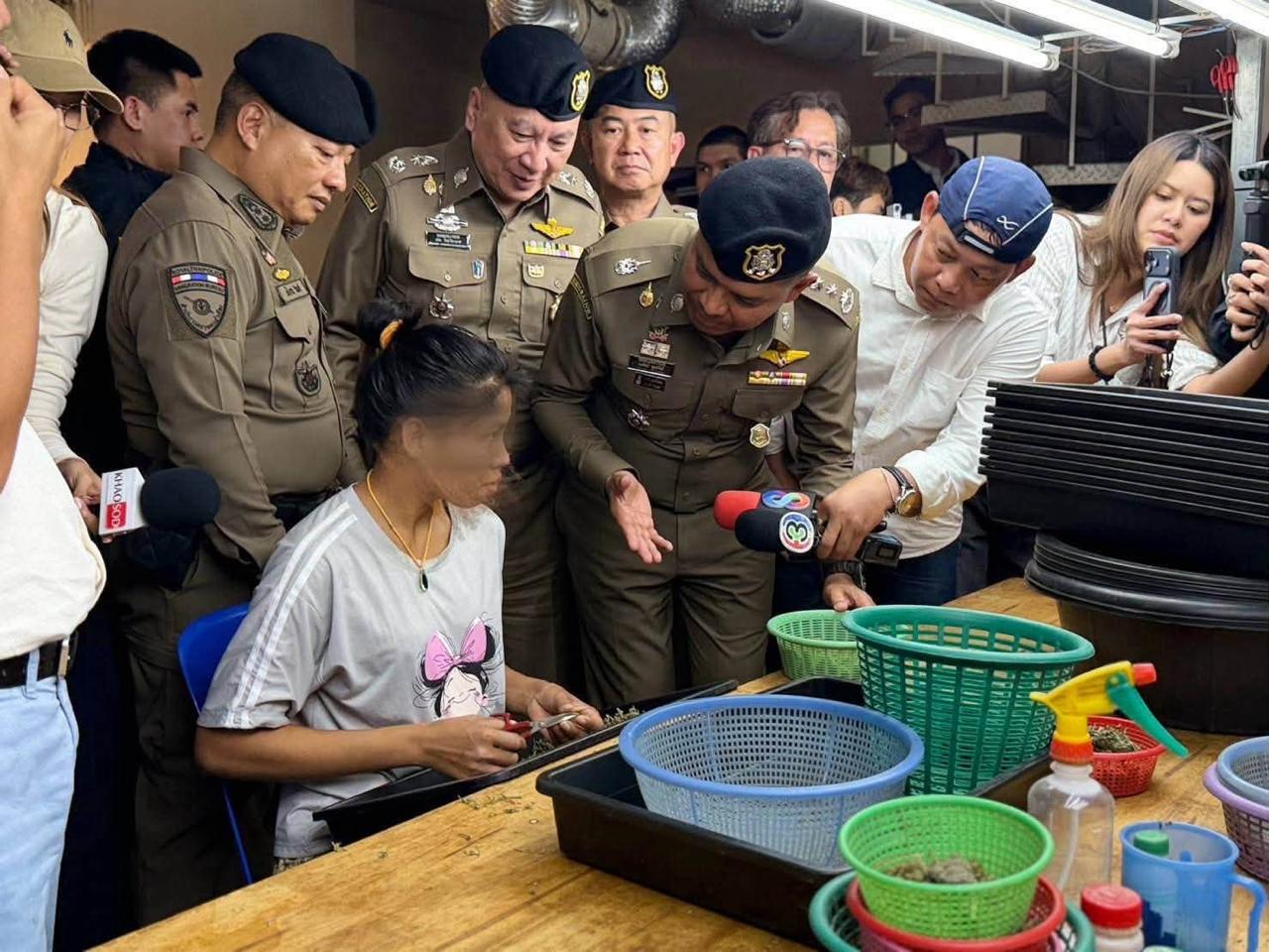 泰国移民局查获5吨大麻花 抓获5名外籍嫌犯-manila58.com