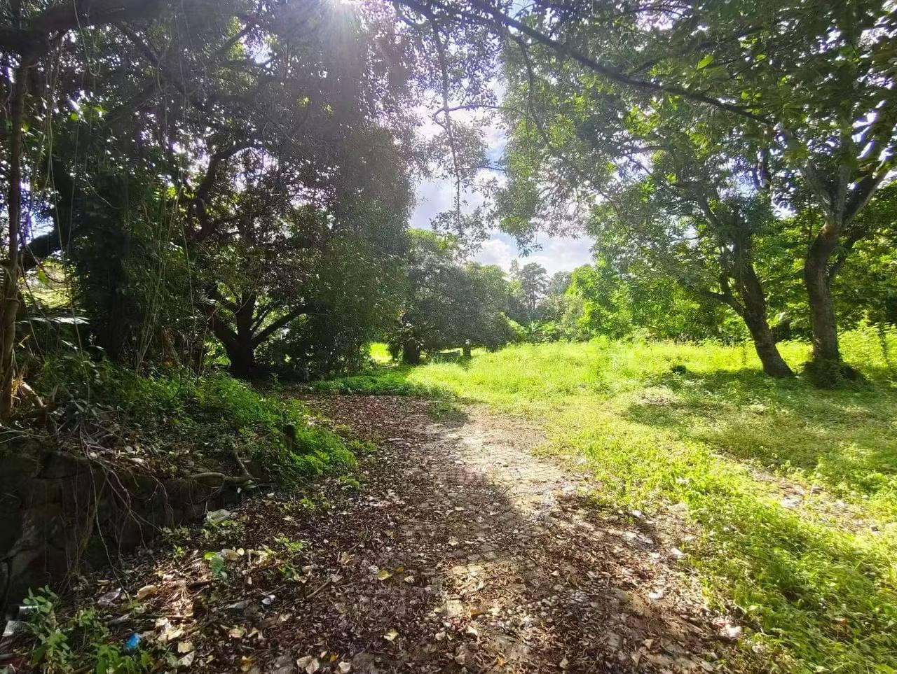 Ayala Alabang 高級別墅區土地出售-manila58.com