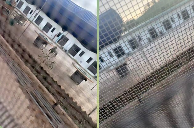 #网友爆料：这个公司地址在缅甸亚太村外7号地。-manila58.com